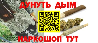 гашик Шахты