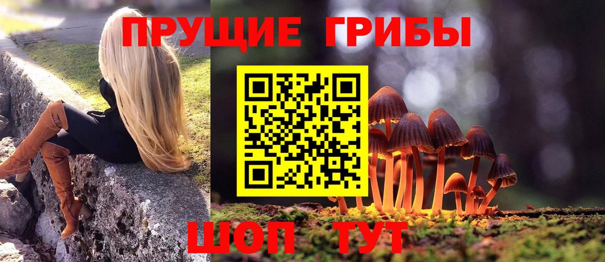 Галлюциногенные грибы Cubensis Лениногорск