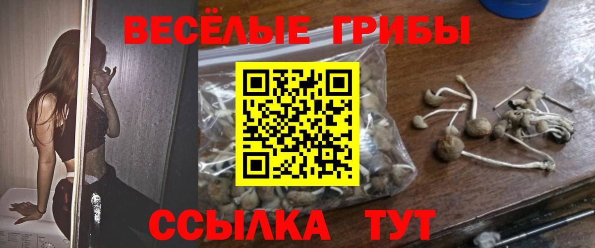 Псилоцибиновые грибы Psilocybine cubensis  Вход с VPN  купить наркотики цена  Лениногорск 